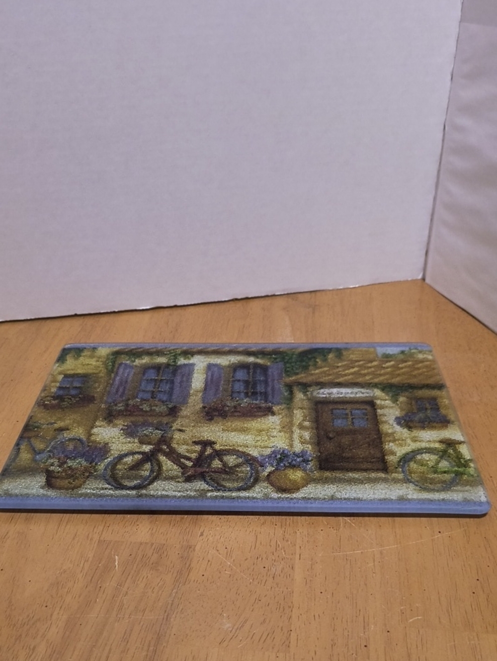 Decorative Bicycle Cottage Glass Accent Cheese Tray B4 12x8 Inches